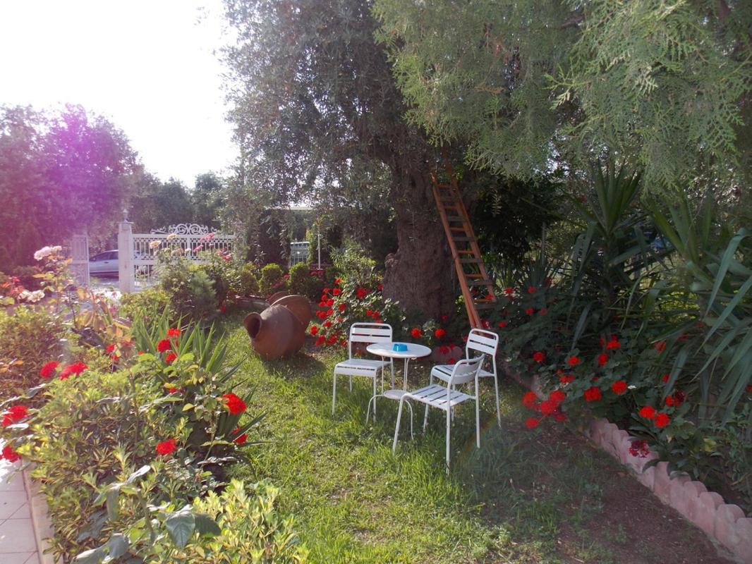 Ioli Apartments Liménasz Kültér fotó